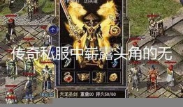传奇私服隐身无敌的两面性探讨 