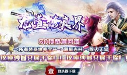 传奇私服技能栏透明补丁插件：提升体验的实用工具