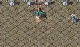 乐园传奇私服：魅力与注意事项