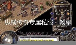 《纵横传奇私服：多元特色点燃热血》 