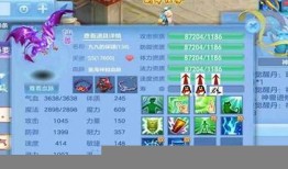 神武传奇：私服与官网的利弊探讨 